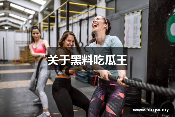 关于黑料吃瓜王